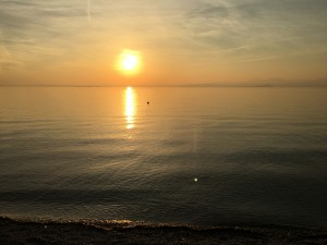 IMG 3274