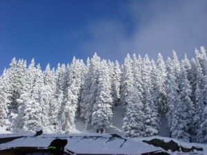 Ski2011_13