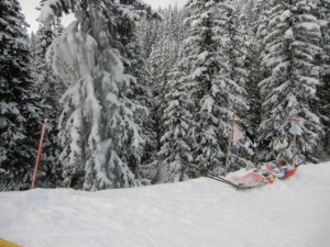 Ski2011_N_50