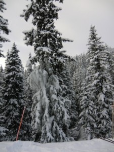 Ski2011_N_51