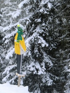 Ski2011_N_55